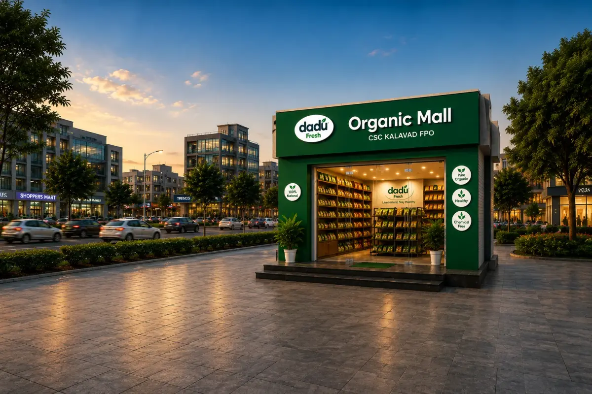Our Store